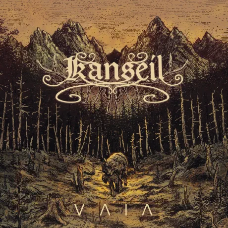 Vaia cover